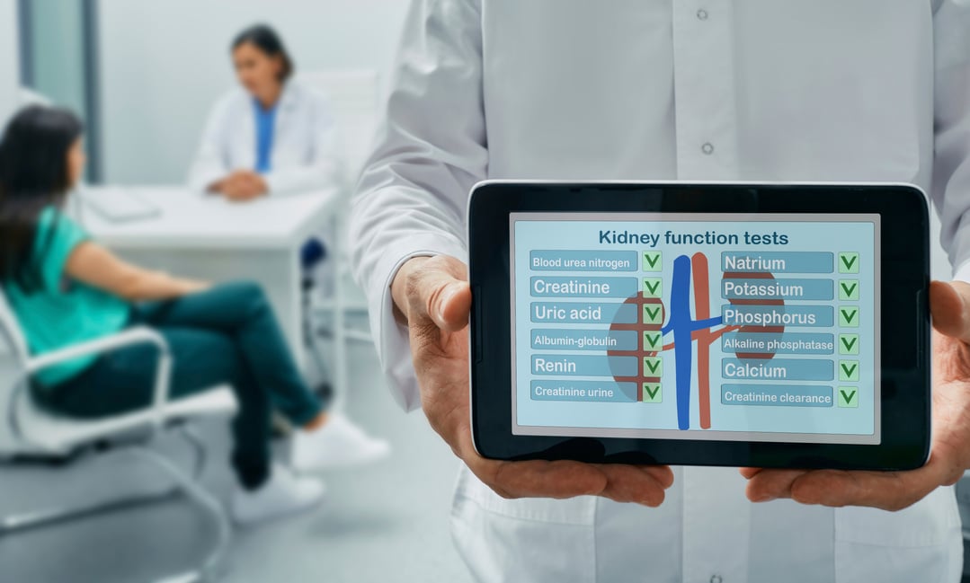 Kidney function test, concept image